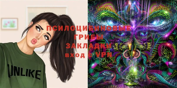 марки nbome Бородино