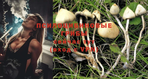 марки nbome Бородино