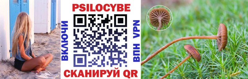 купить закладку  Самара  Псилоцибиновые грибы ЛСД 